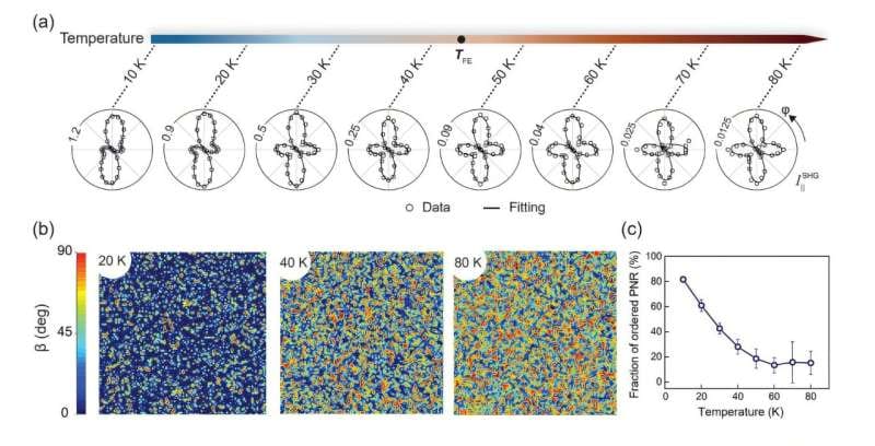 Laser pulses bring order to a quantum material's tiny electrical regions