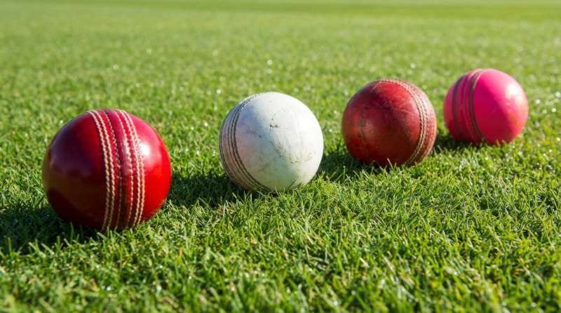 pink cricket ball