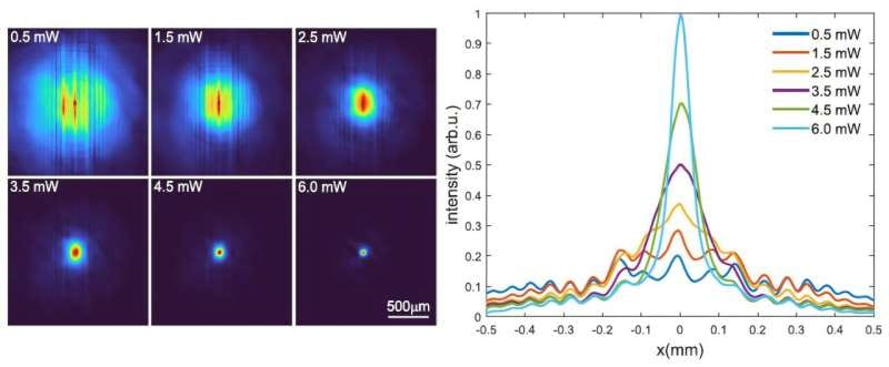 Discrete optical solitons observed in warm rubidium vapor
